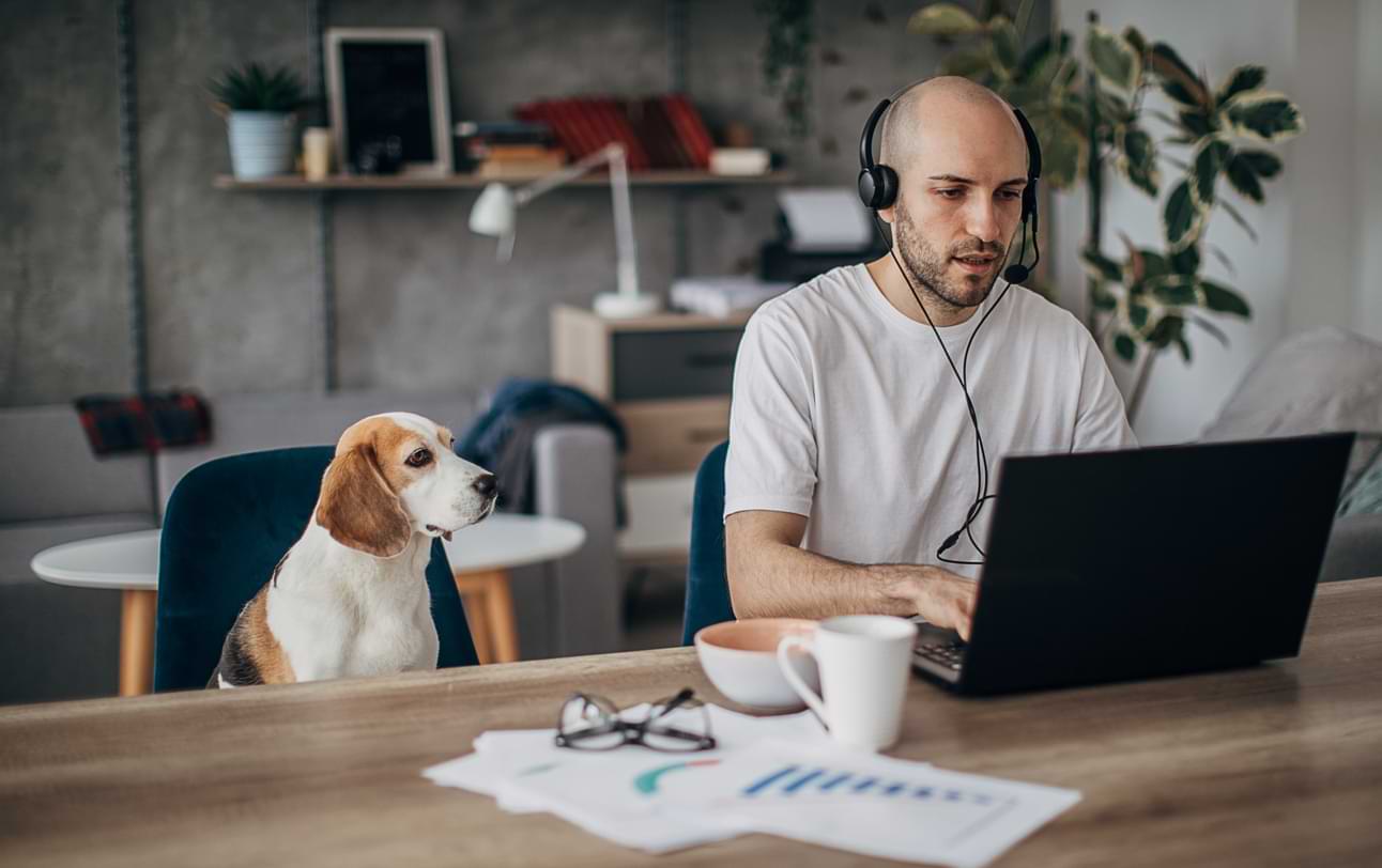 Man on computer with Dog working from home. 